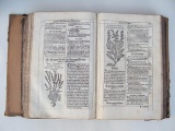 Szymon Syreski, Zielnik, Kraków 1613 r.