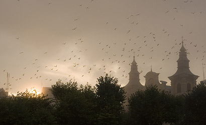 Zapraszamy do Przemy�la