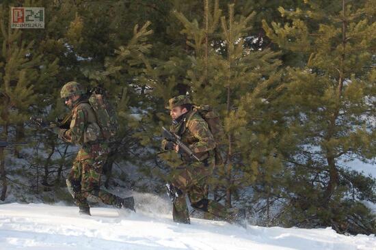 Run Forest !... run!