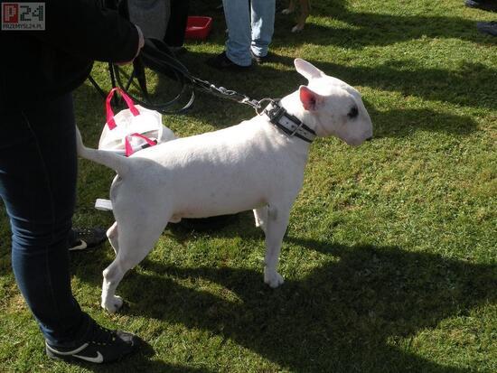 film - http://www.youtube.com/watch?v=OdScUls3Igk