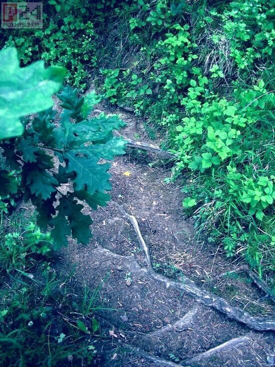 wszystkie drogi prowadz� do...