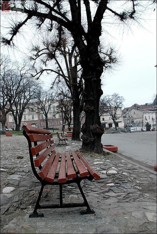 rynek