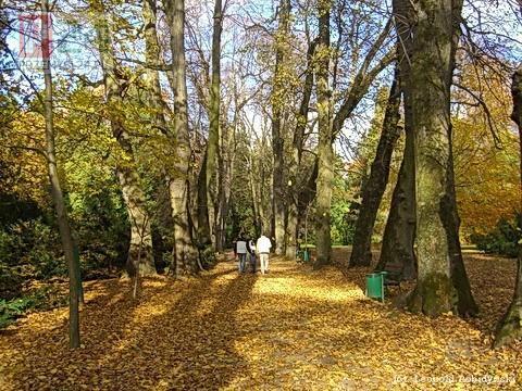 Krasiczyn - park zamkowy..