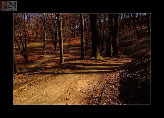 park kazimierzowski w Przemy�lu