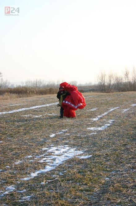 Biedroneczko, biedroneczko....