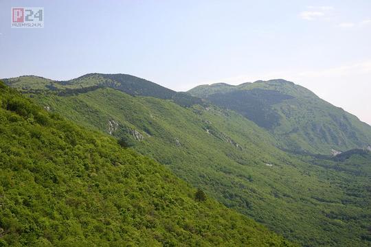 Stok