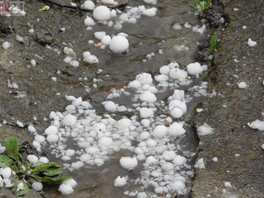 Film - https://www.youtube.com/watch?v=RBuq2cgyAns