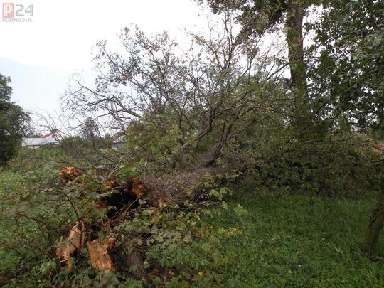 film - http://www.youtube.com/watch?v=AiLstwTbGKw