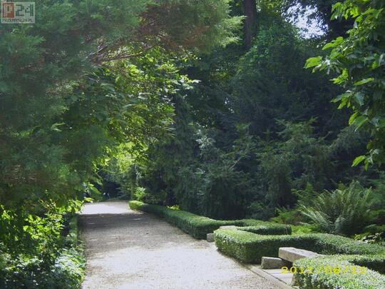 Arboretum