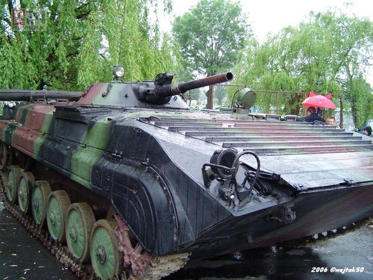 V Wielki Piknik �ycia Podkarpackiego