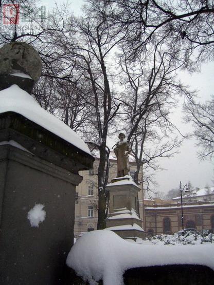 Plac Dominikaski...