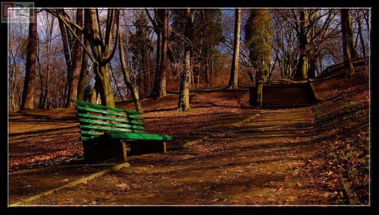 park kazimierzowski w Przemylu