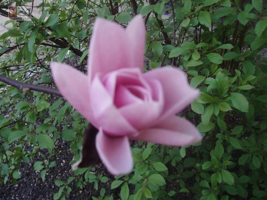 Wiosna 2006 kwiecien