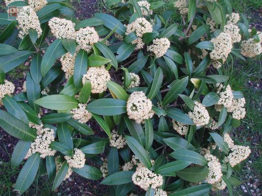 Wiosna 2006 kwiecien